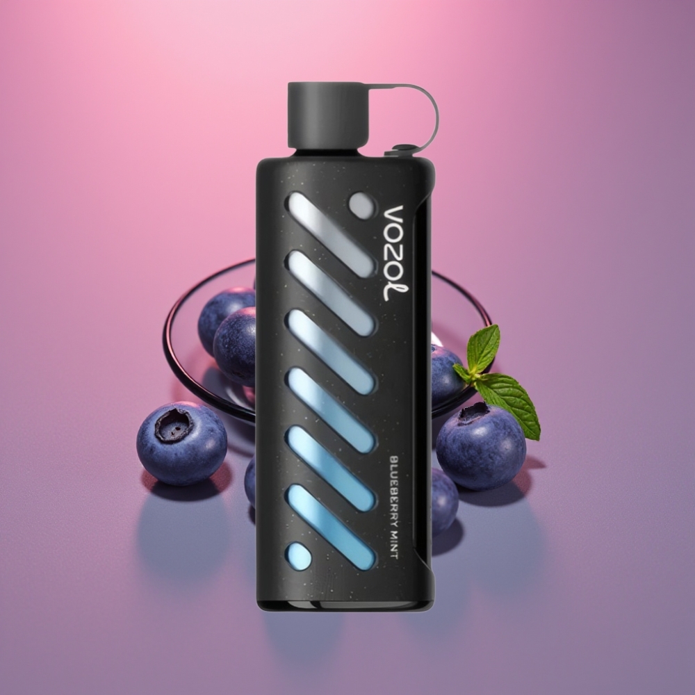 VOZOL Gear Shisha 25000 Puffs 1000mAh 5mg/ml Dual Mesh Borůvka Máta