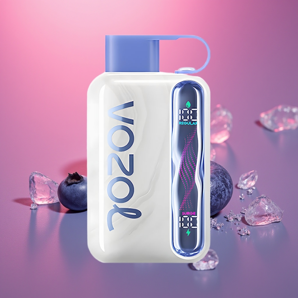 VOZOL STAR 40000 Puffs Disposable Vape Borůvková Mentol 1000mAh Type-C 20/50mg/ml