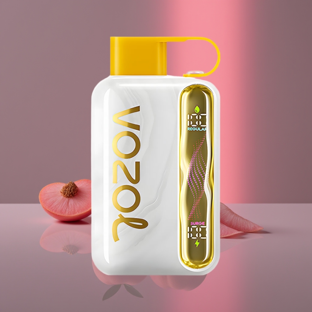 VOZOL STAR 40000 Puffs Disposable Vape Mango Peach (Mangová Broskvová), 1000mAh, 20/50mg/ml, Type-C