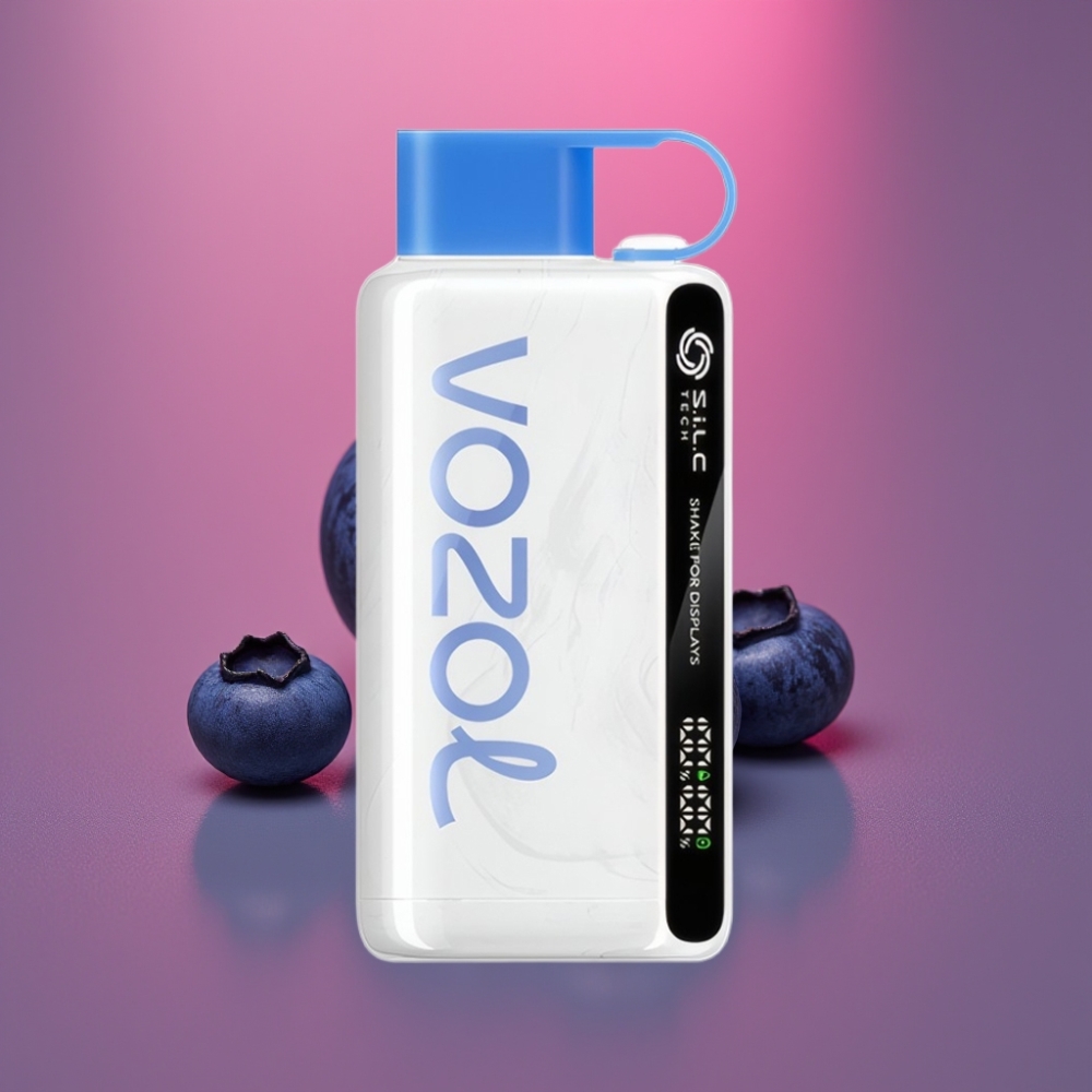 VOZOL STAR 9000/12000 Disposable Vape Borůvková Bouře s S.i.L.C TECH, 650mAh, rychlé nabíjení