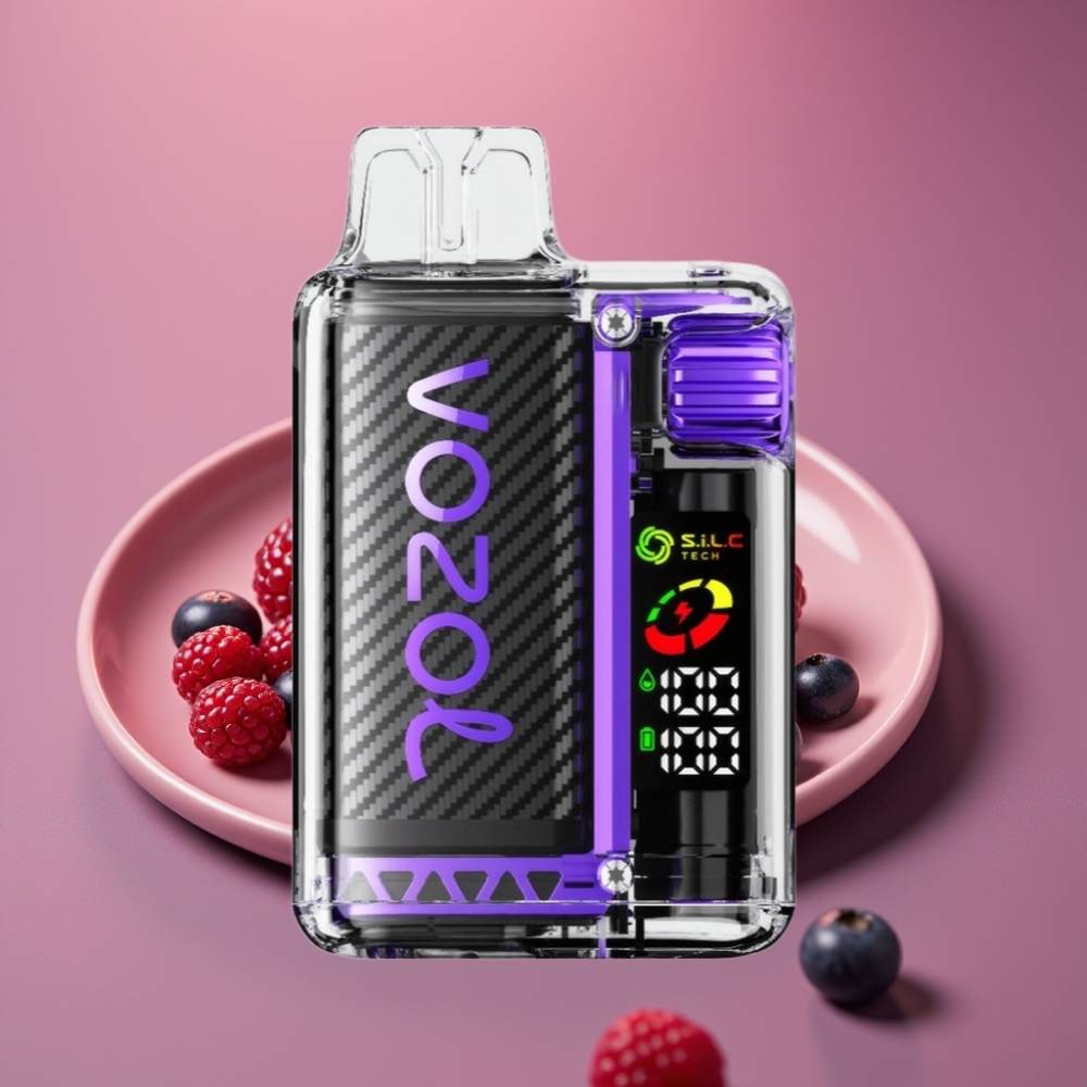 VOZOL Vista 20000 Puffs Jednorázová E-cigareta Směs Lesního Ovoce s OLED Displejem, 650mAh, 2% Nikotinu, S.i.L.C Tech Dual Mesh Coil